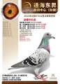 图片暂时未上传