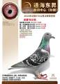图片暂时未上传