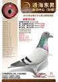 图片暂时未上传