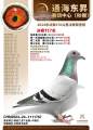 图片暂时未上传