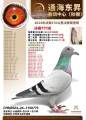 图片暂时未上传