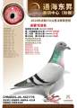 图片暂时未上传