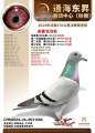 图片暂时未上传