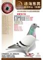 图片暂时未上传