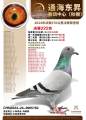 图片暂时未上传