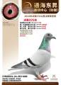 图片暂时未上传