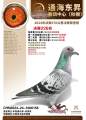 图片暂时未上传