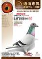 图片暂时未上传