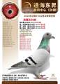 图片暂时未上传