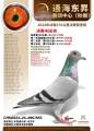 图片暂时未上传