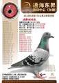 图片暂时未上传