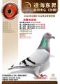 图片暂时未上传