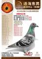 图片暂时未上传