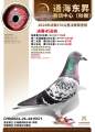 图片暂时未上传