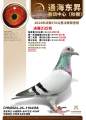 图片暂时未上传
