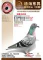 图片暂时未上传