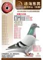 图片暂时未上传