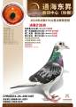 图片暂时未上传