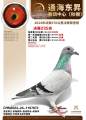 图片暂时未上传