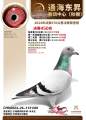 图片暂时未上传