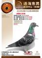 图片暂时未上传