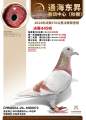 图片暂时未上传