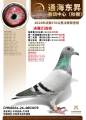 图片暂时未上传