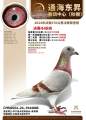 图片暂时未上传