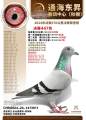 图片暂时未上传