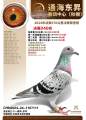 图片暂时未上传
