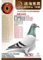 图片暂时未上传