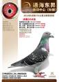图片暂时未上传