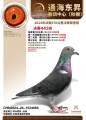 图片暂时未上传