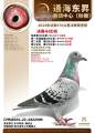 图片暂时未上传