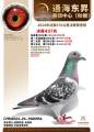 图片暂时未上传