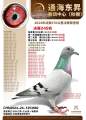 图片暂时未上传