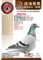 图片暂时未上传