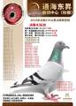 图片暂时未上传