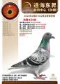 图片暂时未上传