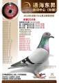 图片暂时未上传