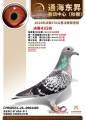 图片暂时未上传