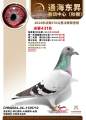 图片暂时未上传