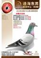 图片暂时未上传