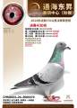 图片暂时未上传