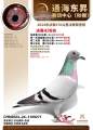 图片暂时未上传
