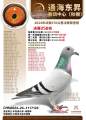 图片暂时未上传
