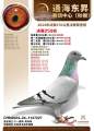 图片暂时未上传