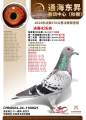 图片暂时未上传