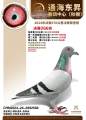 图片暂时未上传