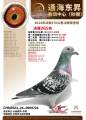 图片暂时未上传